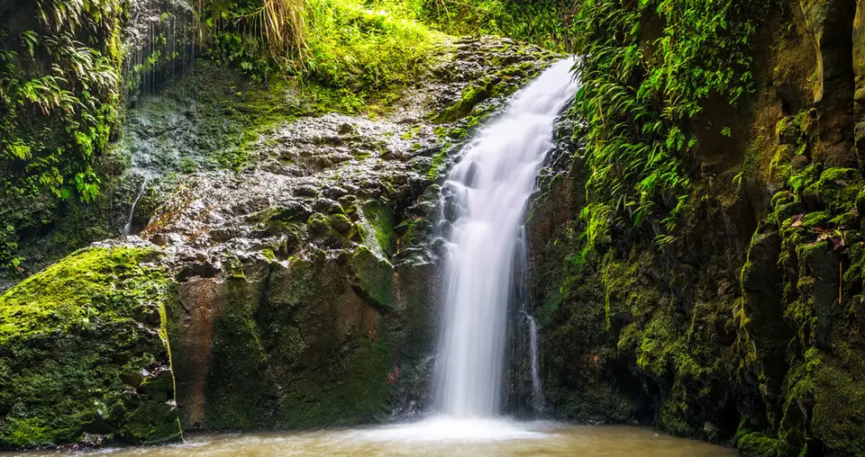 Maunawili Falls Hike - Oahu attraction near Ka'a'awa vacation rental