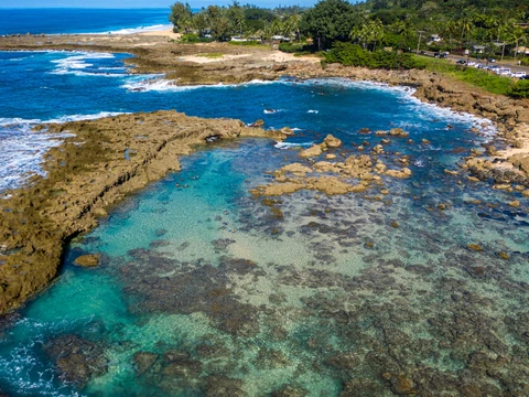Sharks Cove, photo 2