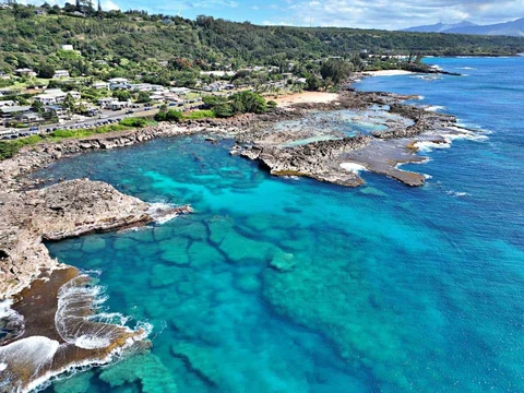 Sharks Cove, photo 1