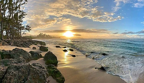 Laniakea Turtle Beach, photo 1
