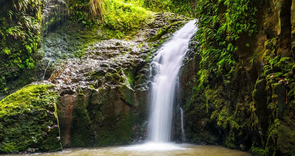 Maunawili Falls Hike - Oahu attraction near Ka'a'awa vacation rental