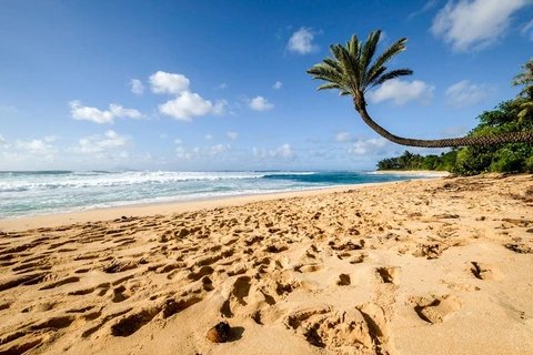 Iconic North Shore, photo 2
