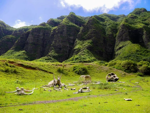 Kualoa Ranch, photo 1