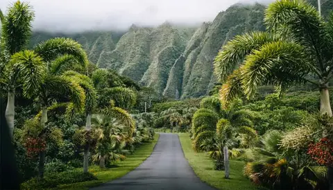 Hōomaluhia Botanical Garden, photo 2