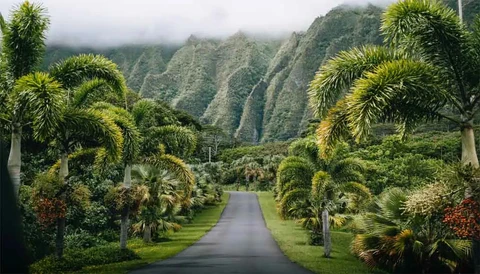 Hōomaluhia Botanical Garden, photo 2